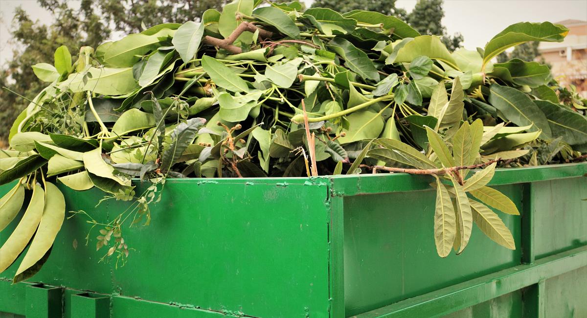 Collagebild 1