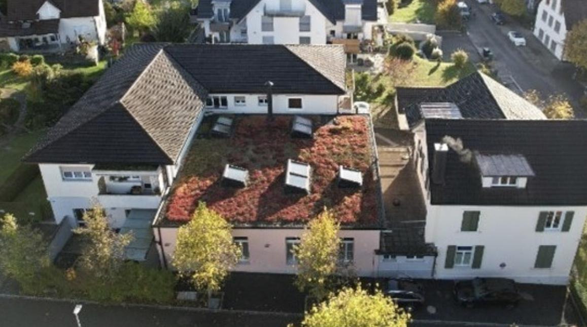 Bild im Zusammenhang mit dem Beitrag
