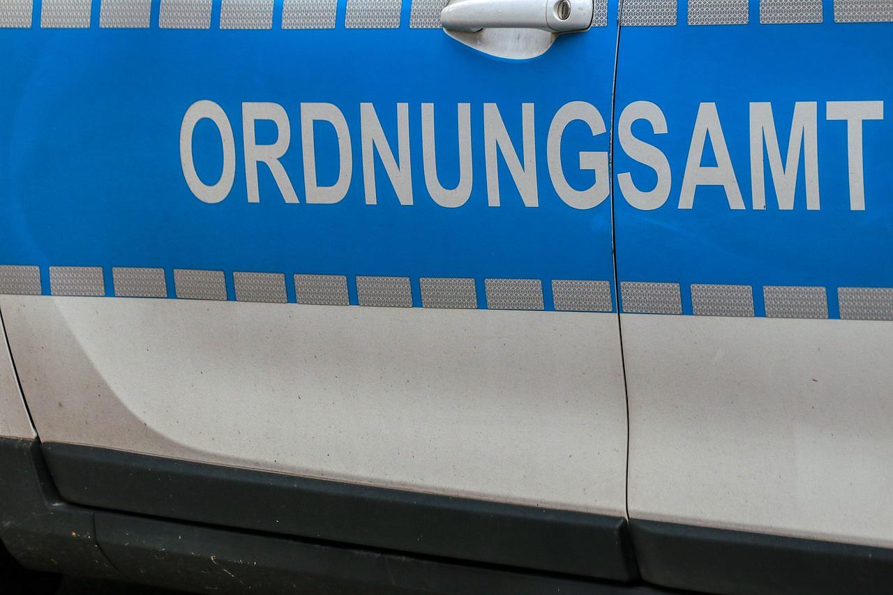 Bild im Zusammenhang mit dem Beitrag