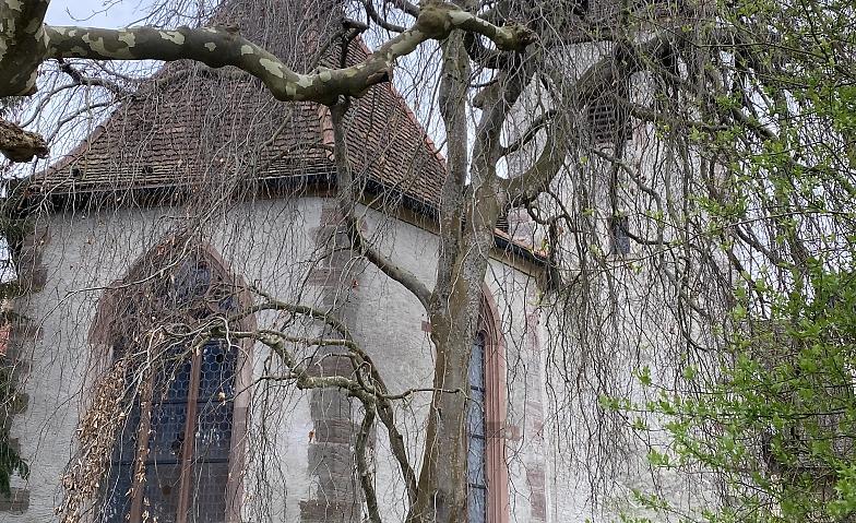 Bild im Zusammenhang mit dem Beitrag
