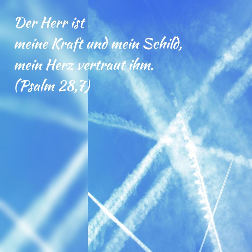 Collagebild 1