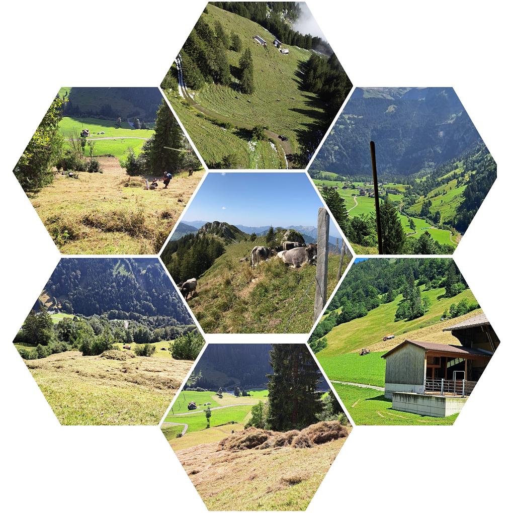 Collagebild 1