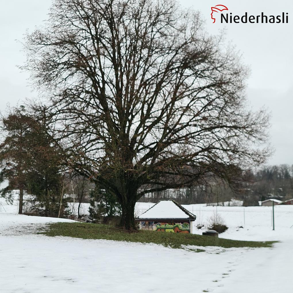 Bild im Zusammenhang mit dem Beitrag