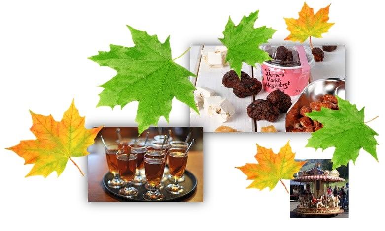 Collage image 1