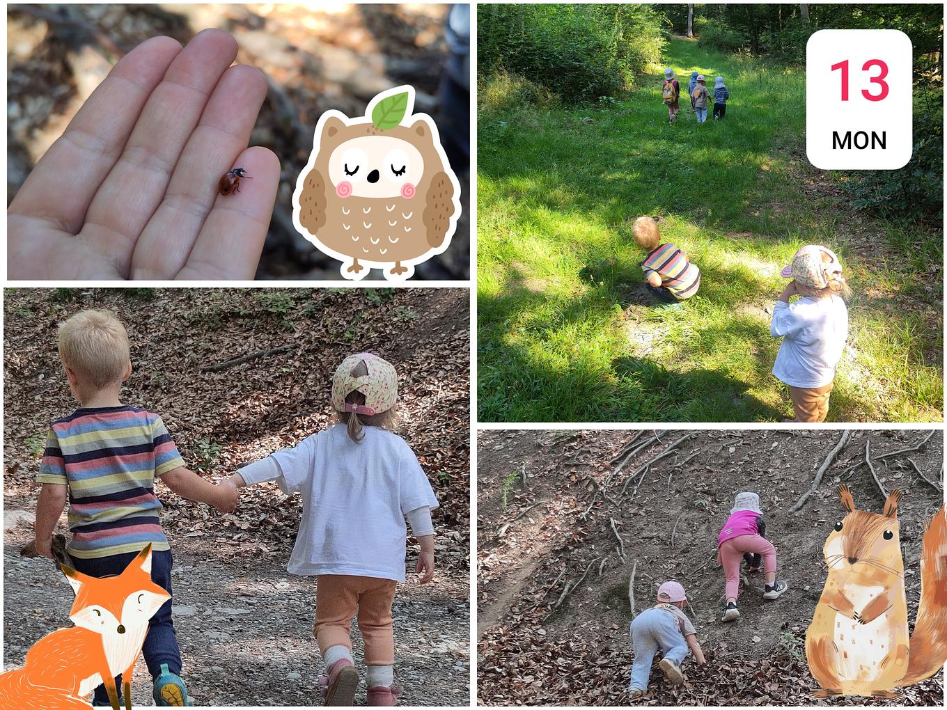 Collagebild 1