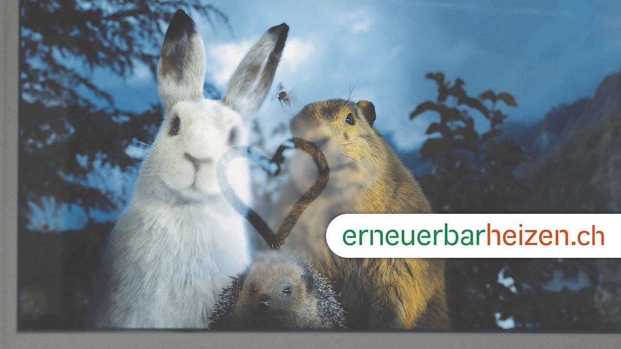 Bild im Zusammenhang mit dem Beitrag