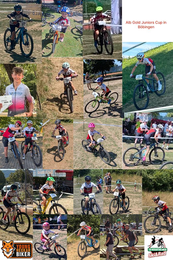 Collagebild 1