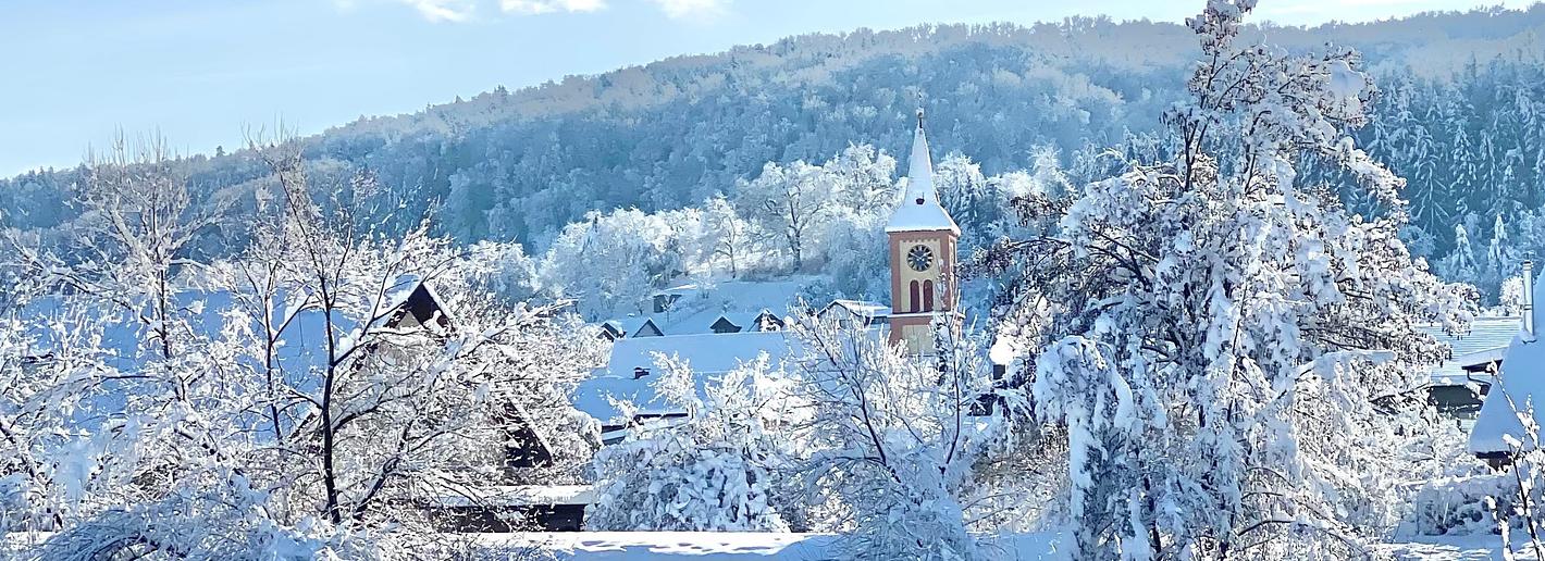 Bild im Zusammenhang mit dem Beitrag