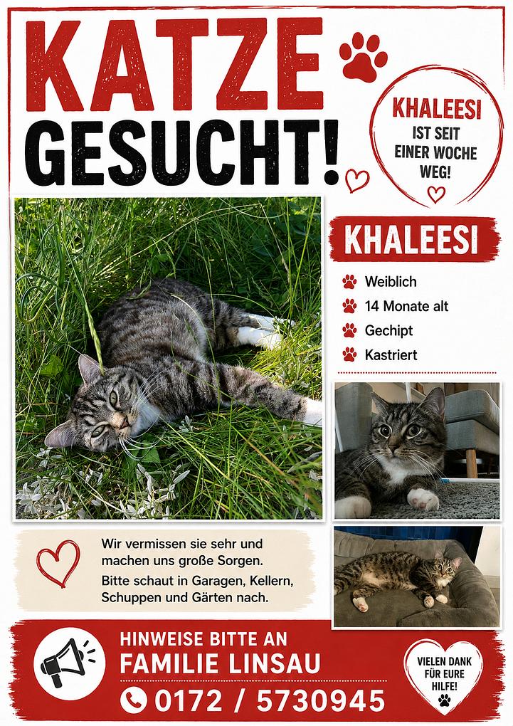 Collagebild 1