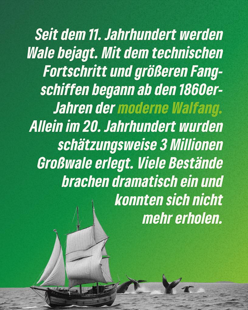 Collagebild 2