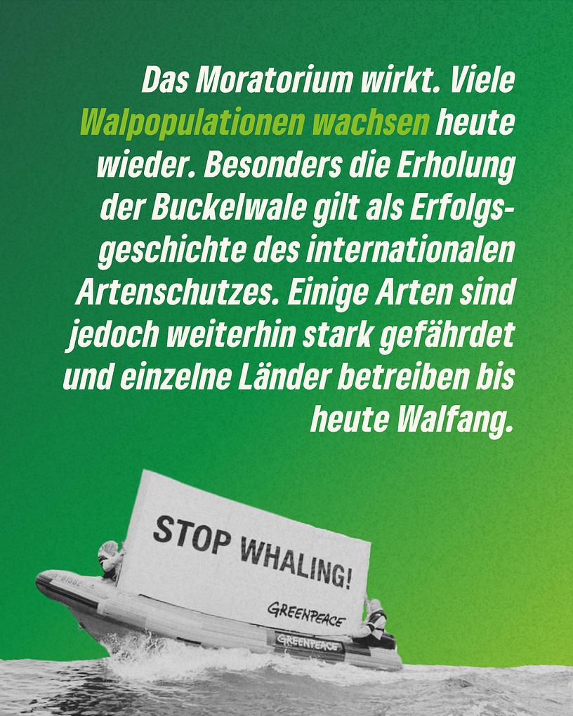 Collagebild 5