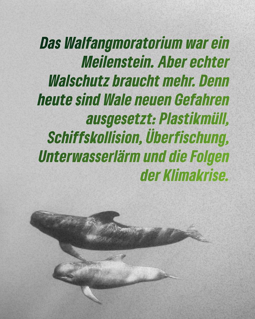 Collagebild 6