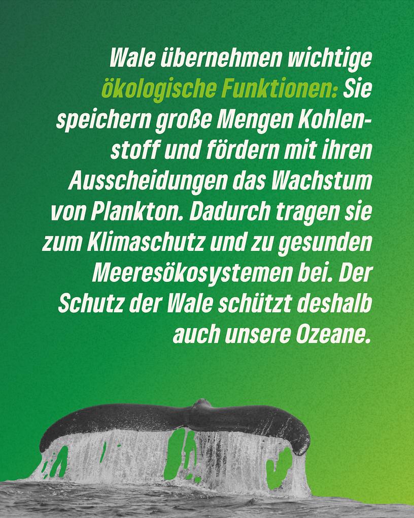 Collagebild 7