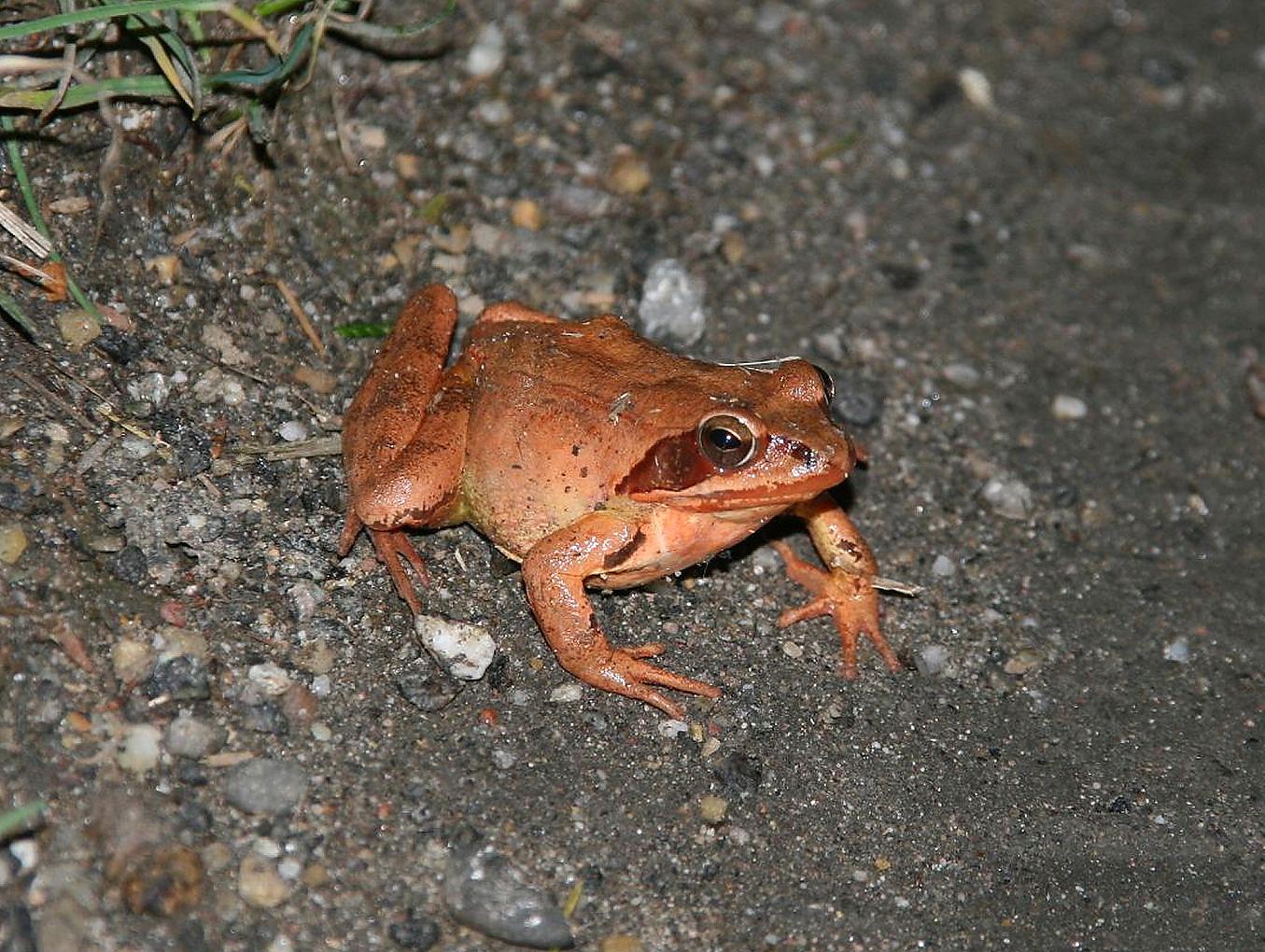 Image related to the post