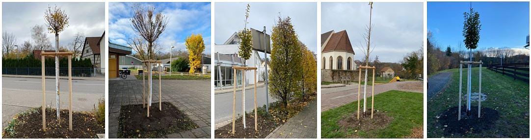 Collagebild 1