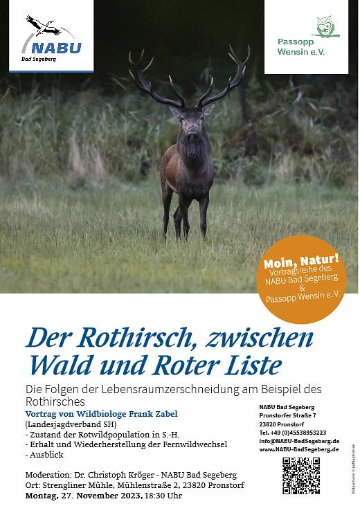 Bild im Zusammenhang mit dem Beitrag