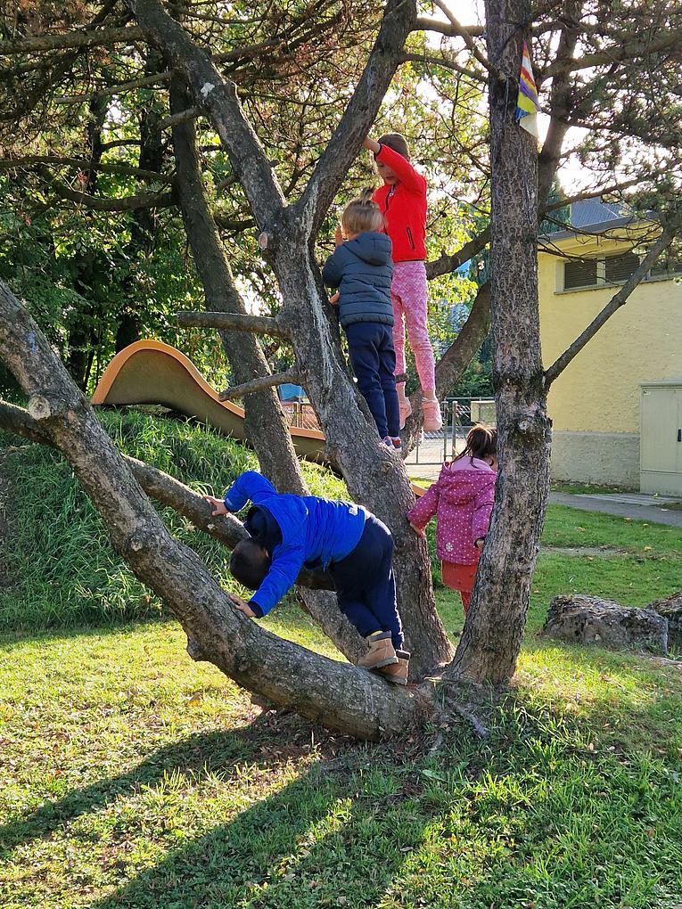Bild im Zusammenhang mit dem Beitrag