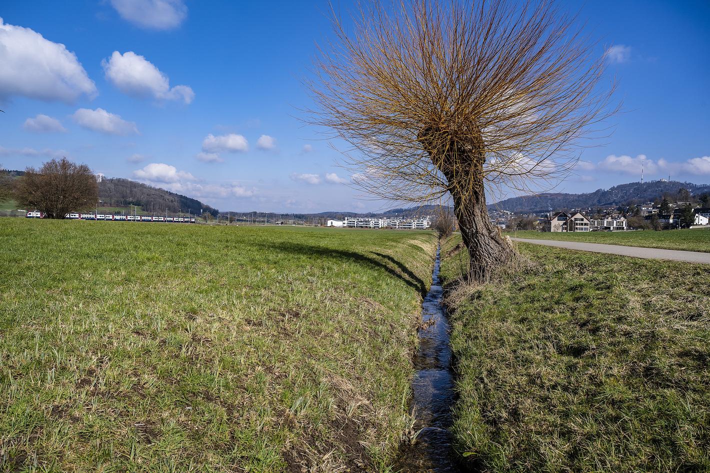 Collagebild 1