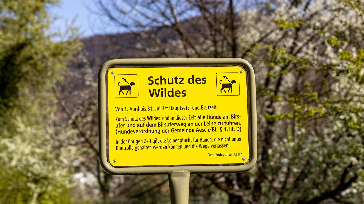 Bild im Zusammenhang mit dem Beitrag