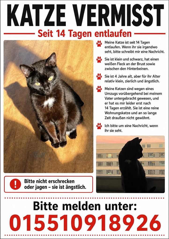 Collagebild 1