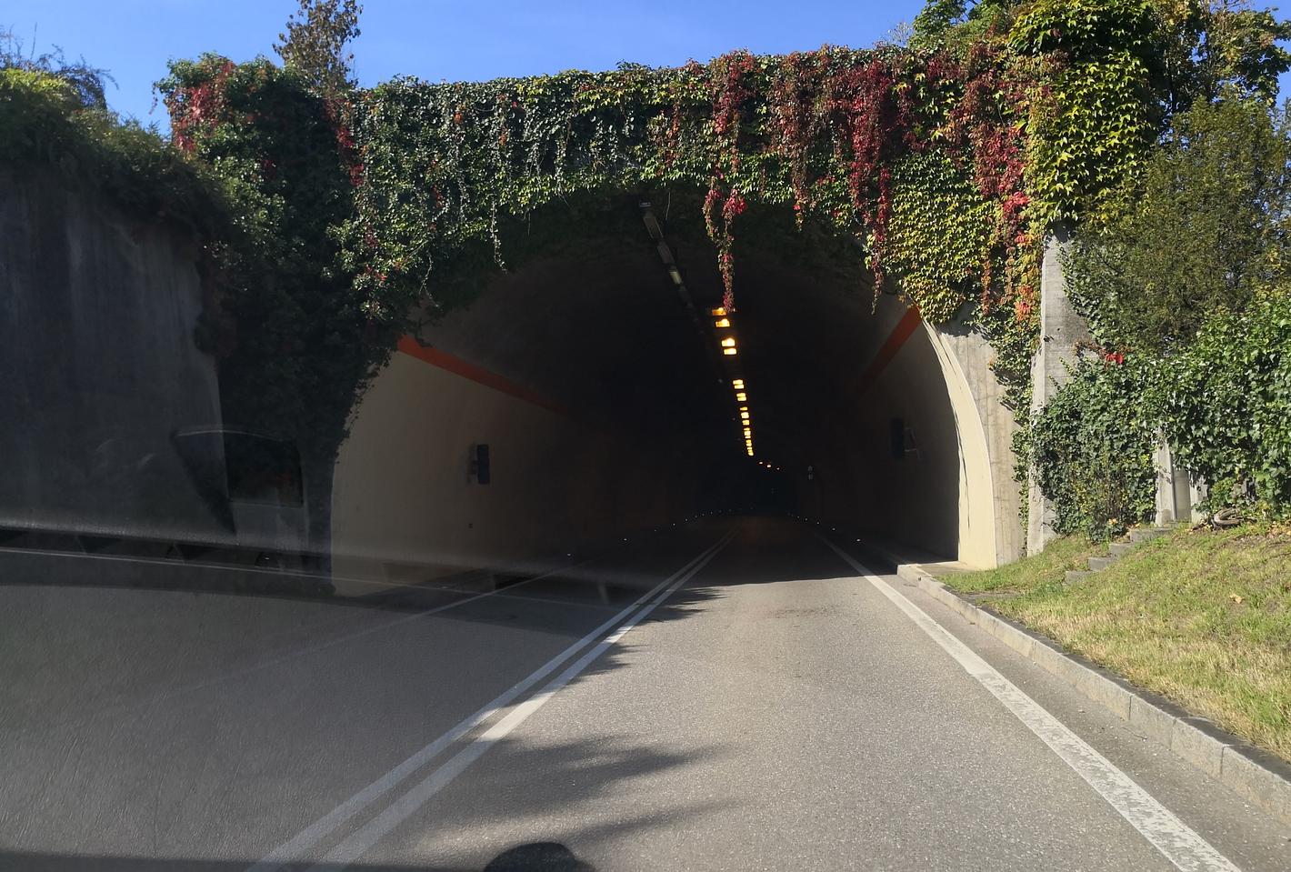 Bild im Zusammenhang mit dem Beitrag