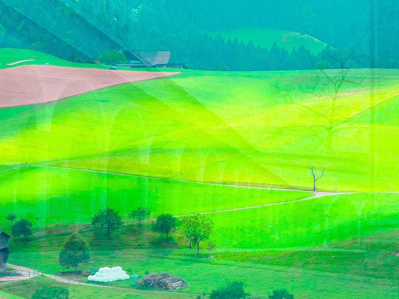 Collagebild 1