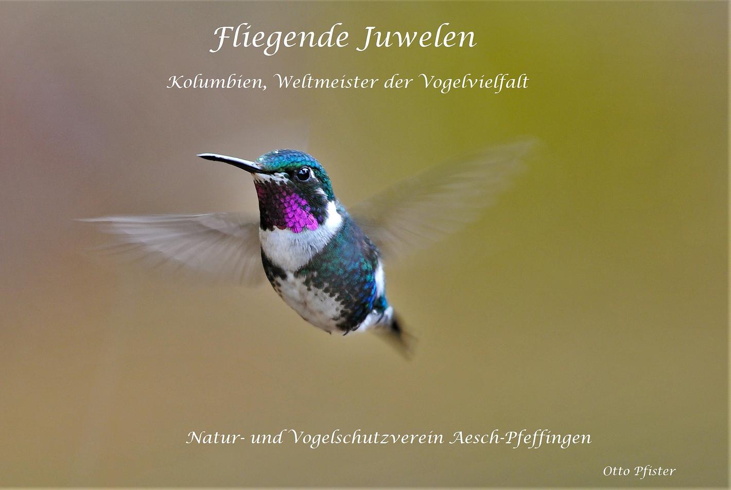 Bild im Zusammenhang mit dem Beitrag