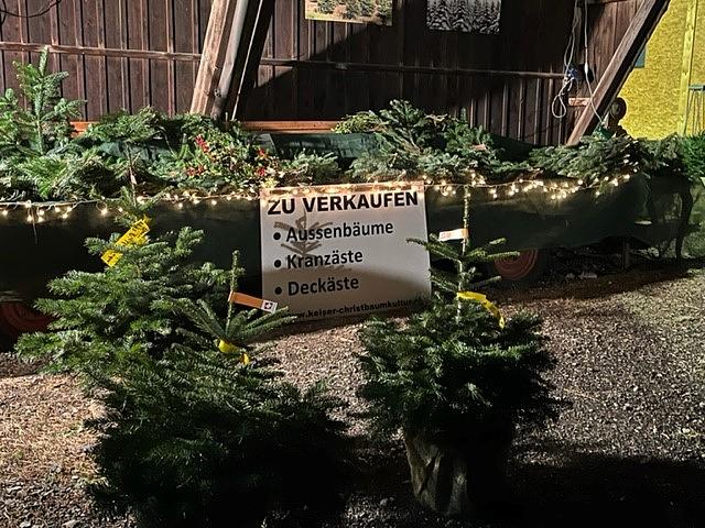 Bild im Zusammenhang mit dem Beitrag