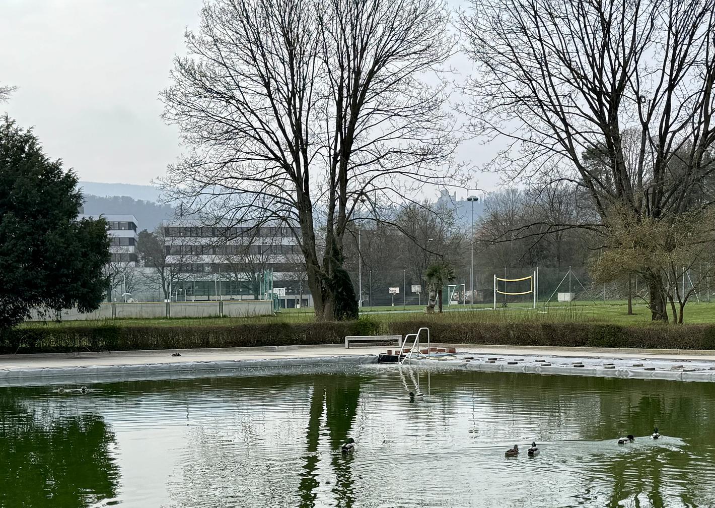 Bild im Zusammenhang mit dem Beitrag