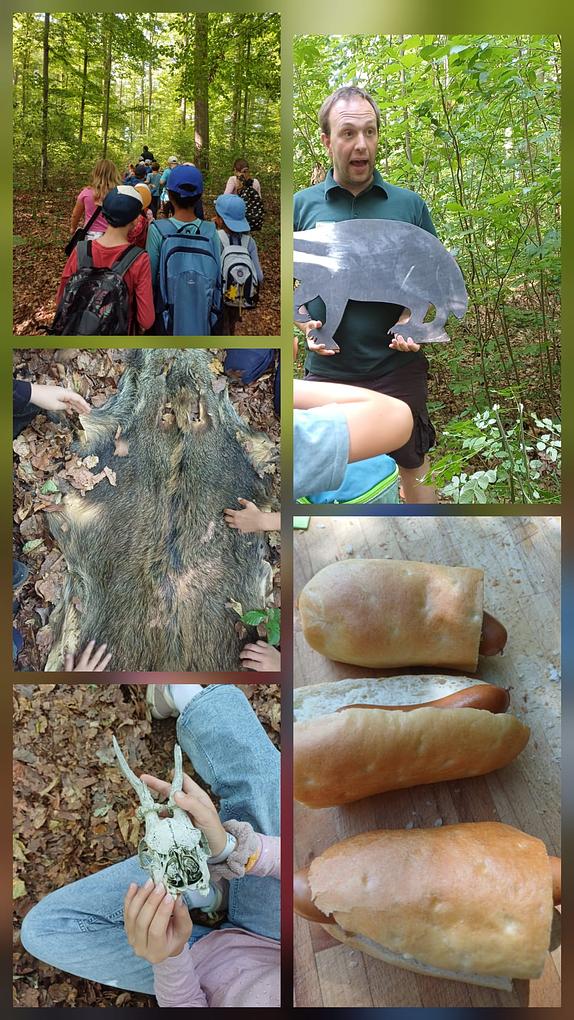 Collagebild 3