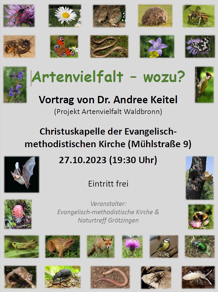 Collagebild 1