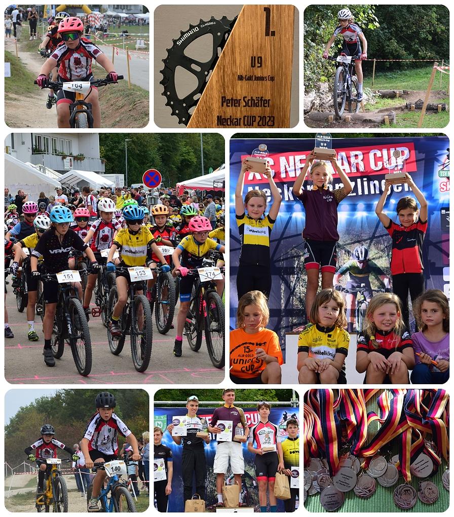Collagebild 1