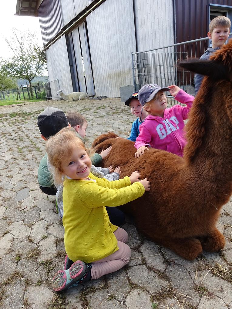 Bild im Zusammenhang mit dem Beitrag