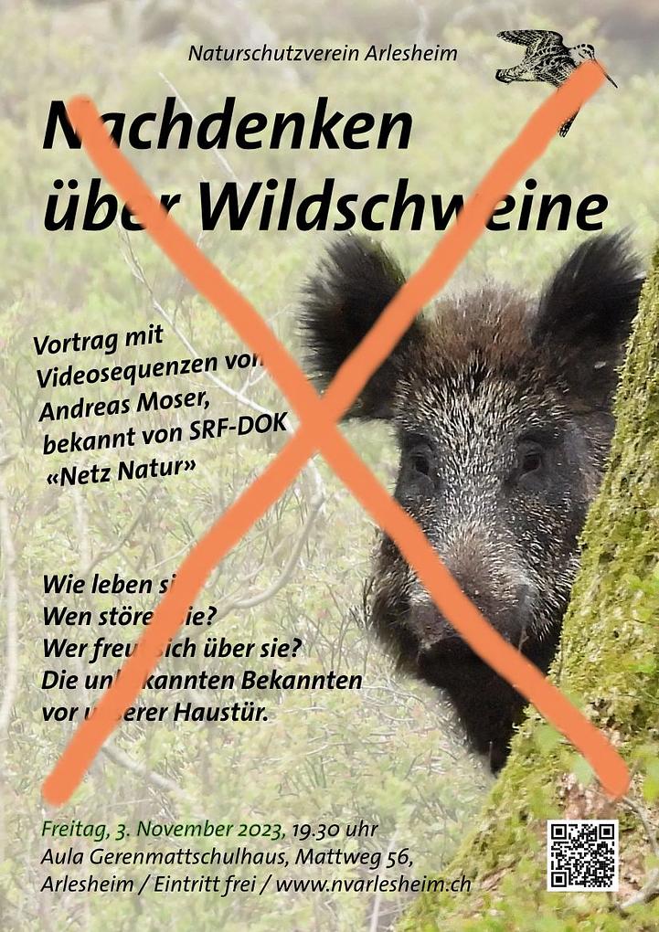 Bild im Zusammenhang mit dem Beitrag