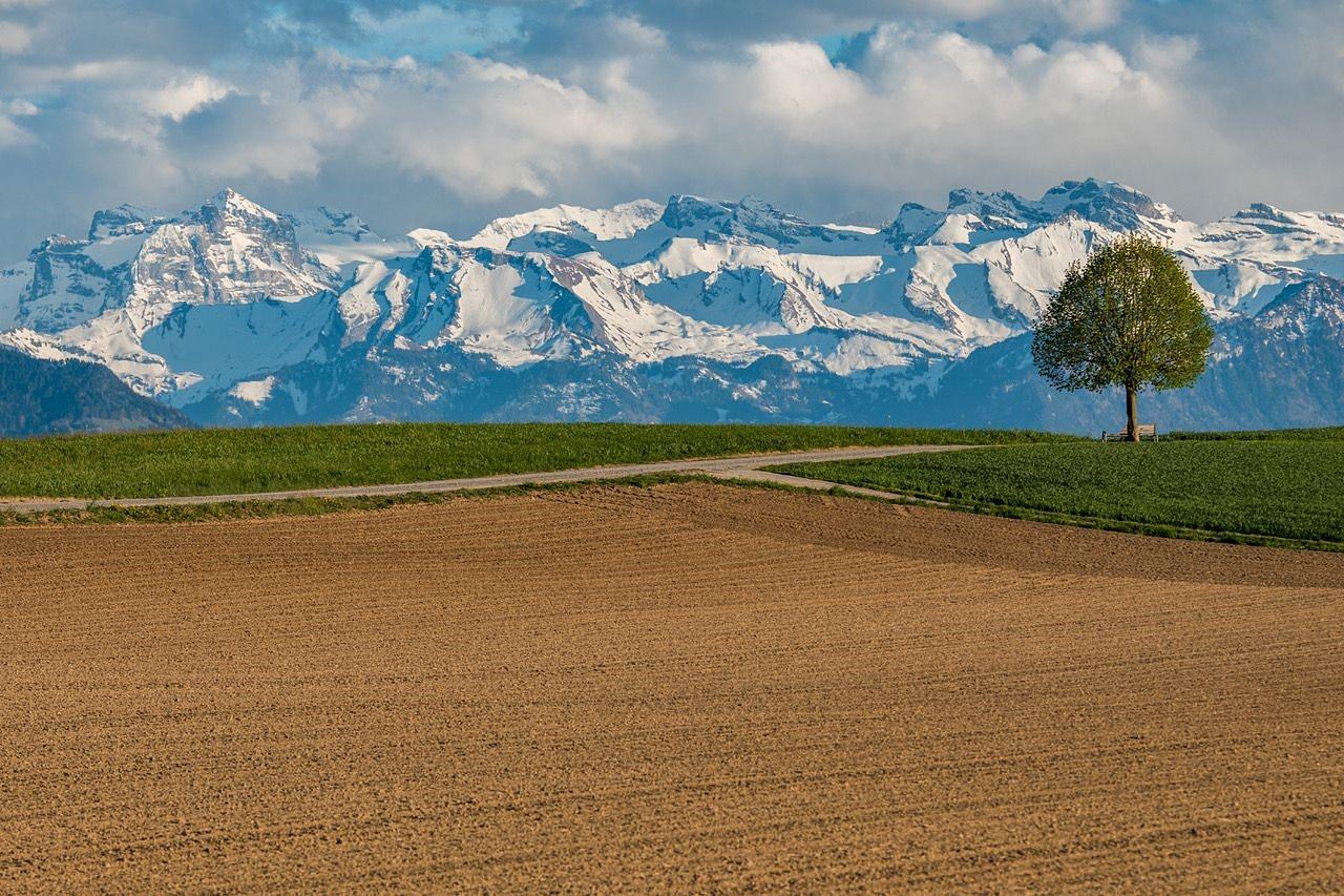 Bild im Zusammenhang mit dem Beitrag