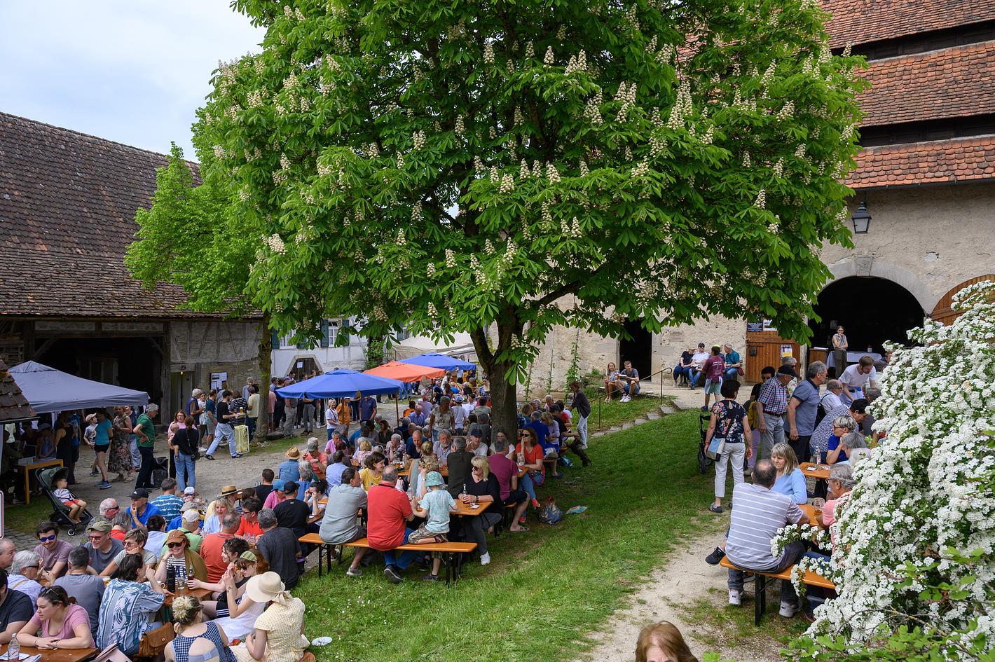 Bild im Zusammenhang mit dem Beitrag