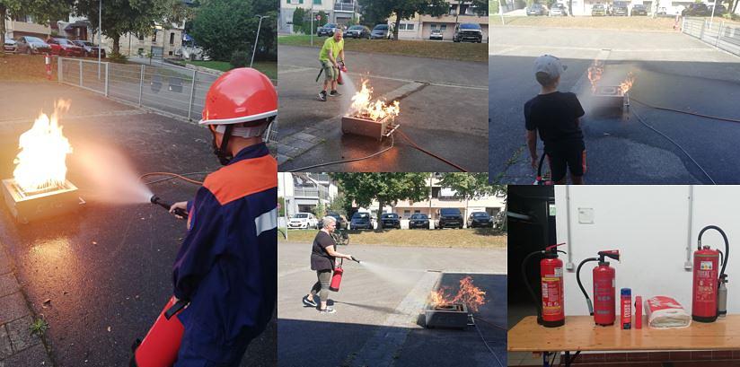 Collage image 1