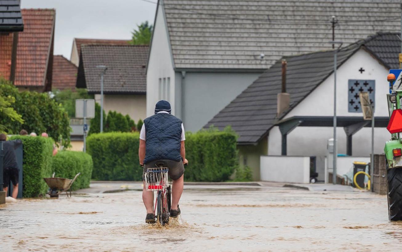 Bild im Zusammenhang mit dem Beitrag