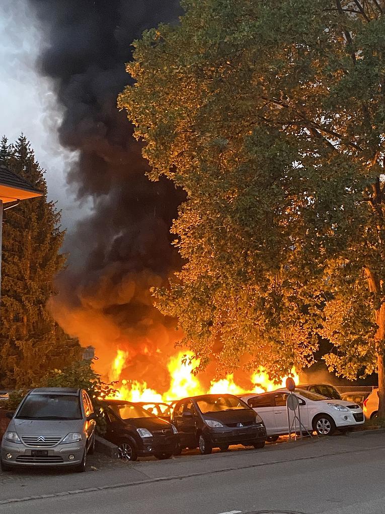 Bild im Zusammenhang mit dem Beitrag
