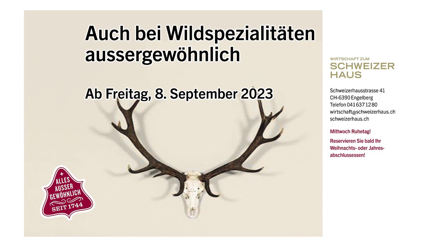 Bild im Zusammenhang mit dem Beitrag