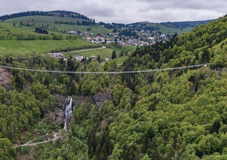 Bild im Zusammenhang mit dem Beitrag