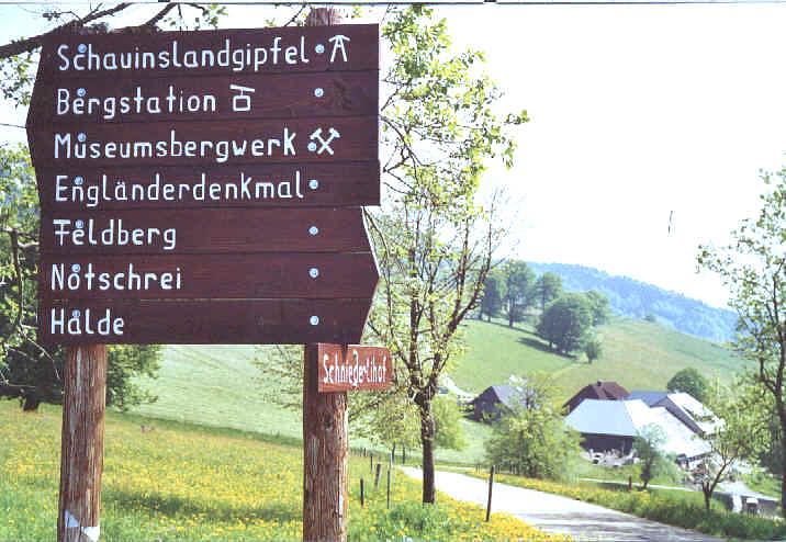Collagebild 1