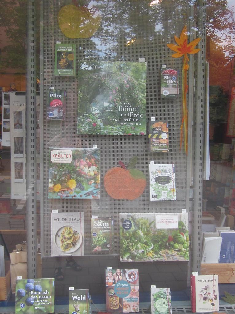 Collagebild 1