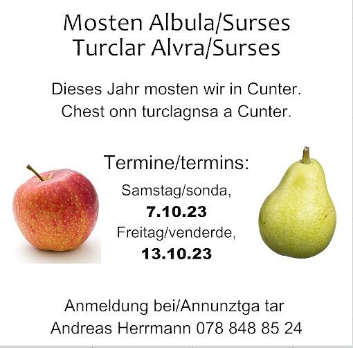 Bild im Zusammenhang mit dem Beitrag