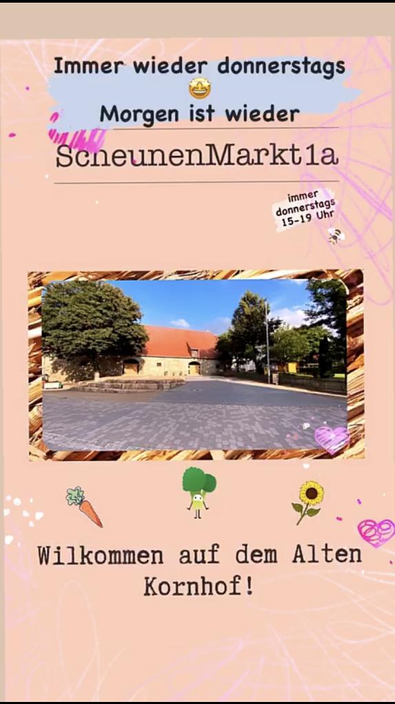 Collage image 1