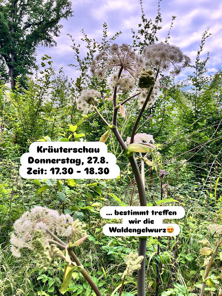 Collagebild 1
