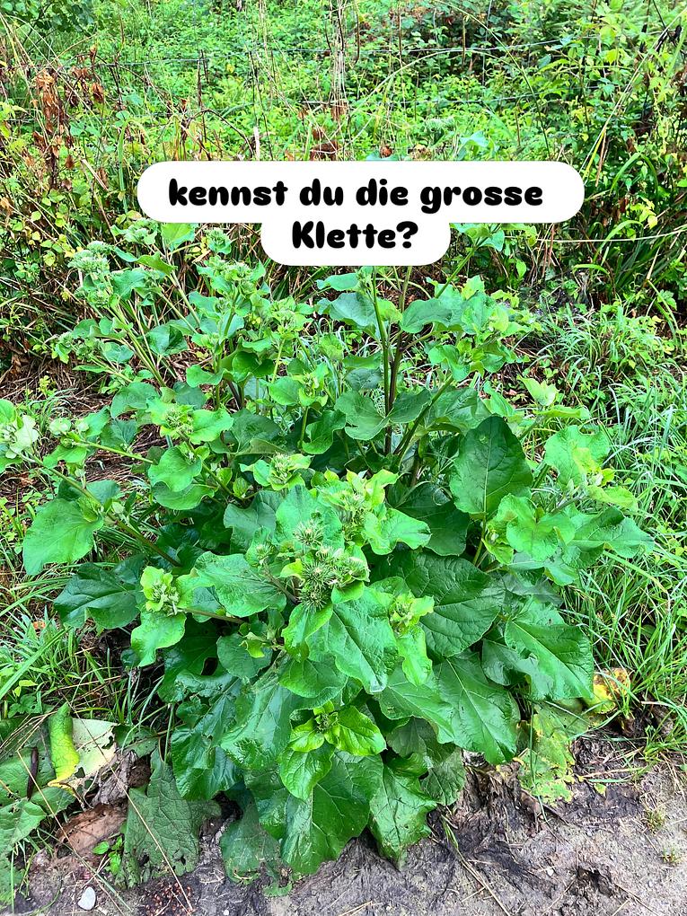 Collagebild 2