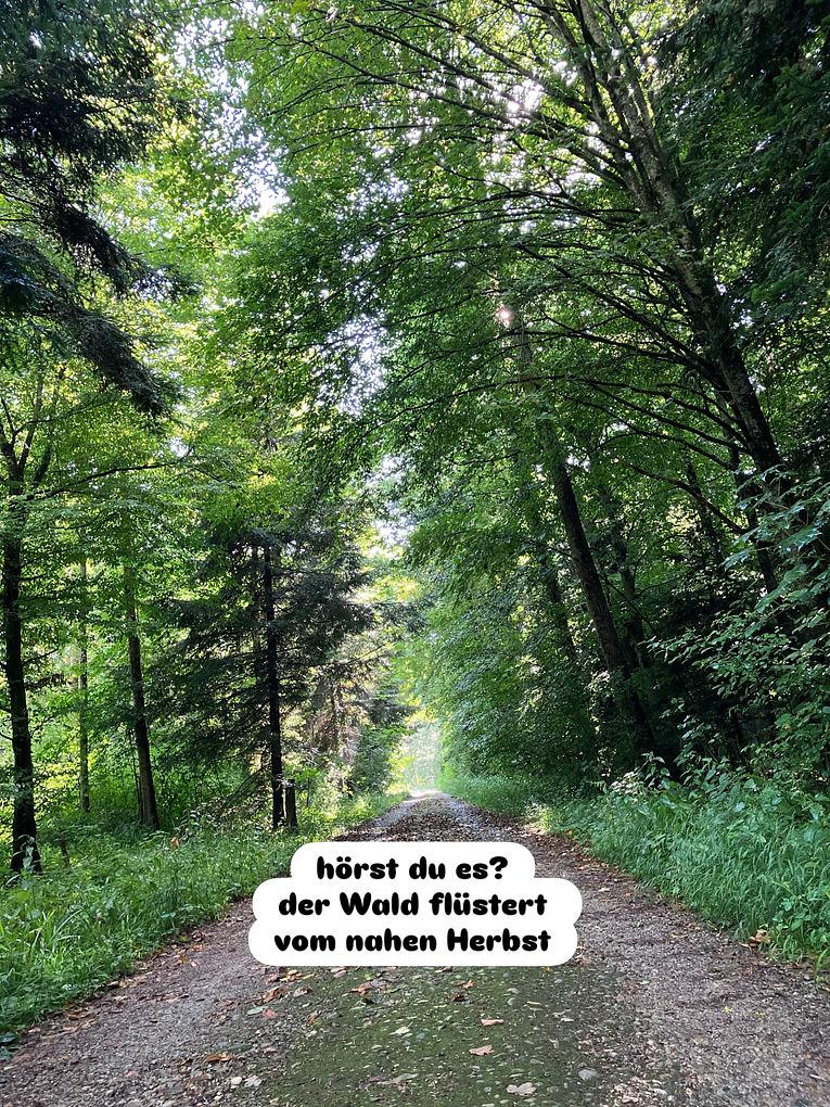 Collagebild 3