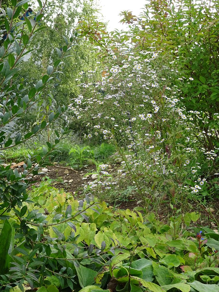 Collagebild 1