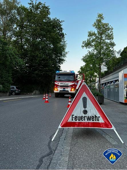 Bild im Zusammenhang mit dem Beitrag